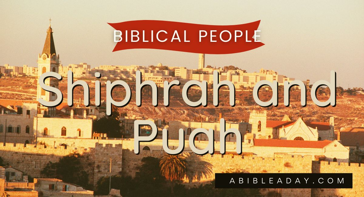 Biblical People: Shiphrah and Puah | Women in the Bible